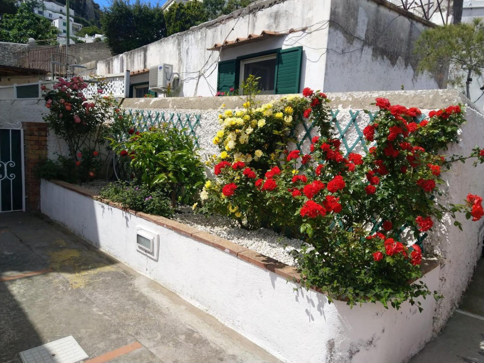 La Marocella Villa Capri Eksteriør billede